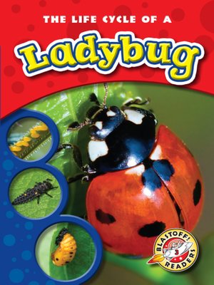cover image of The Life Cycle of a Ladybug